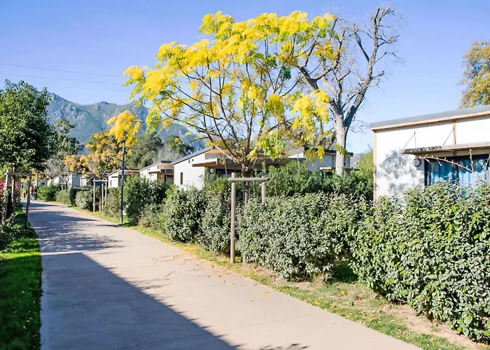 Premium 6p By Interhome Σπίτι διακοπών Santa-Maria-Poggio (Corsica)